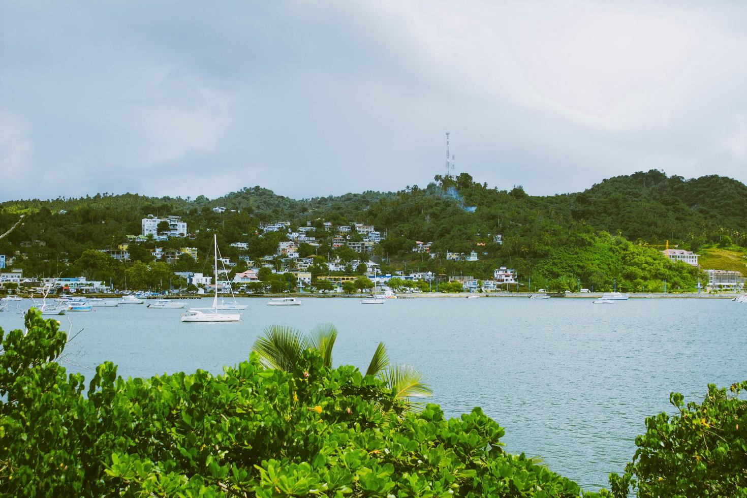 voilier dans les eaux tropicales photo