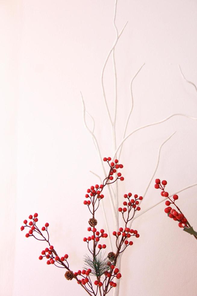 bouquet de fruits rouges photo