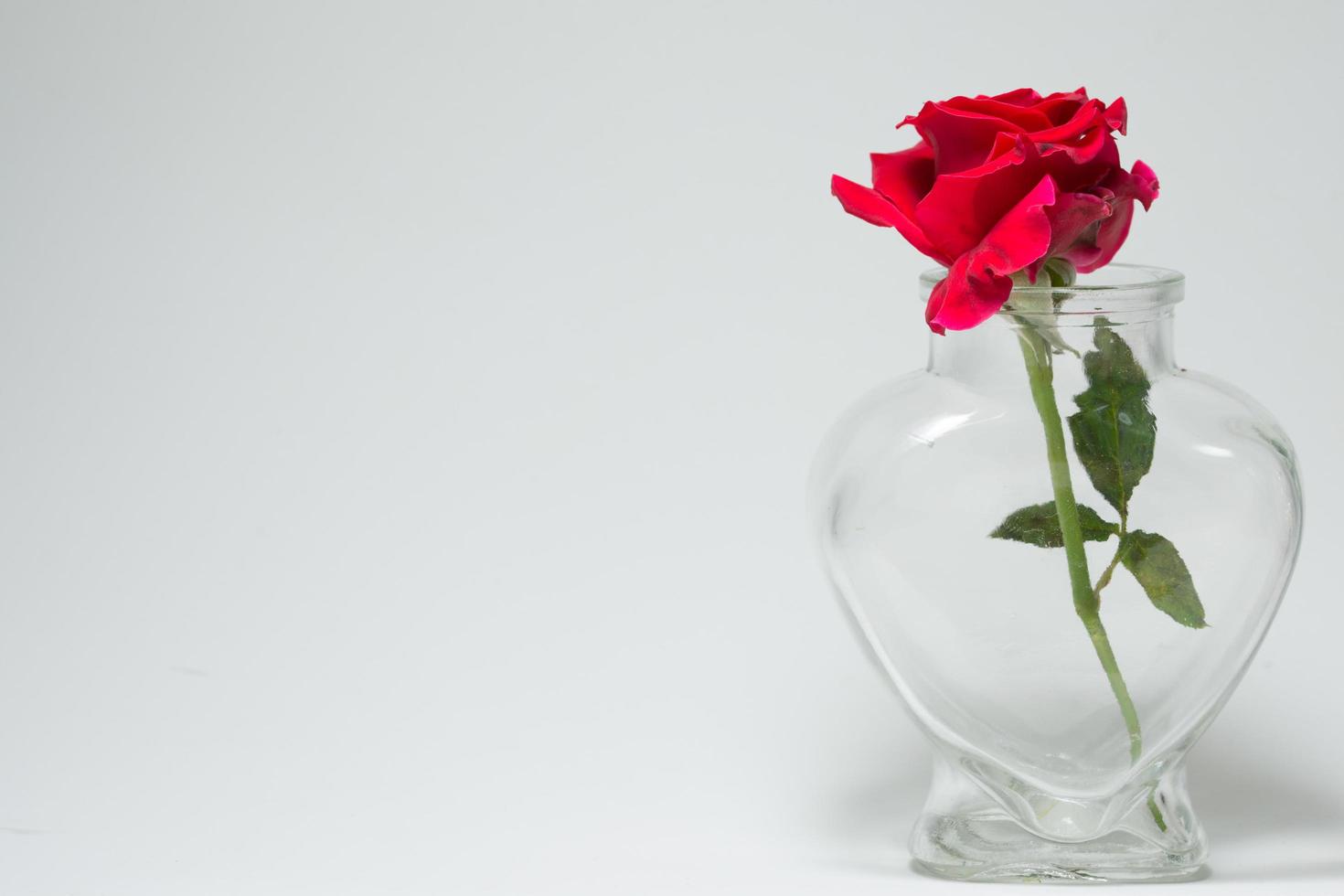 rose rouge dans une bouteille en forme de cœur photo