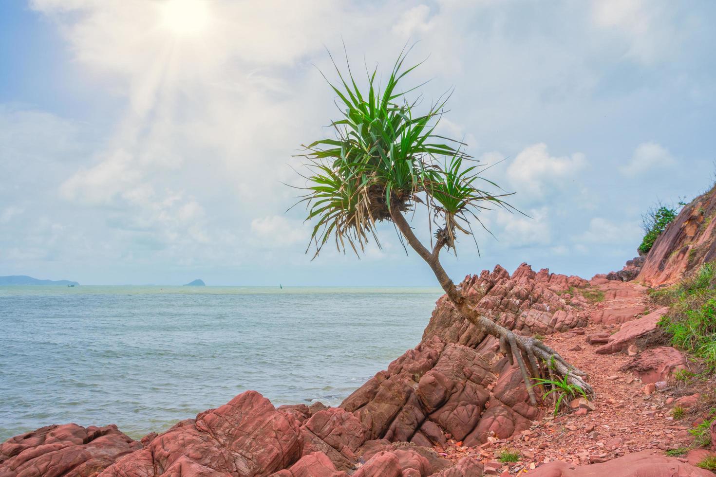 rochers au bord de la mer photo