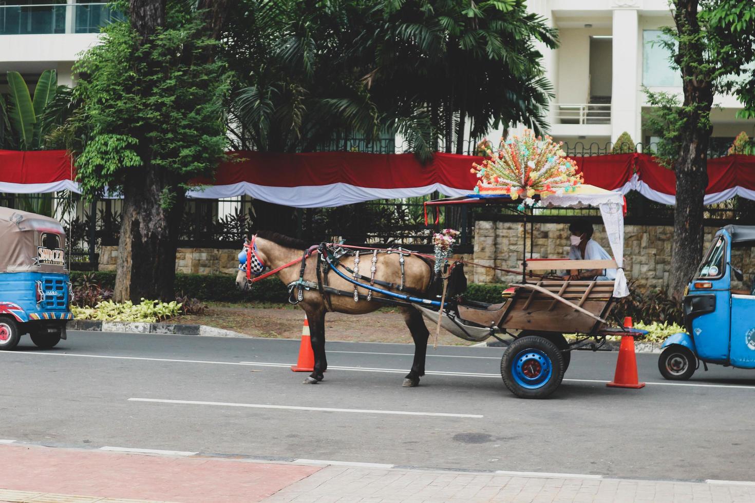 jakarta, indonésie en août 2022. visiteurs amoureux de la flore et de la faune visitant l'exposition flona 2022 au champ de banteng dans le centre de jakarta. photo