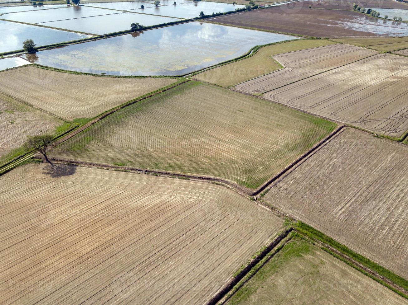 rizières cultivées en italie vue aérienne photo