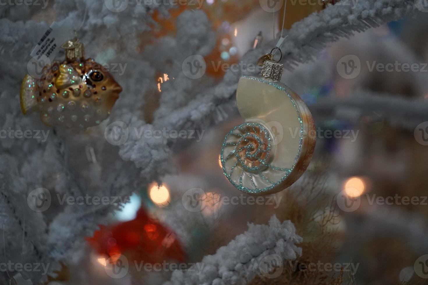 coquille d'arbre de noël et vie marine à vendre dans un magasin photo