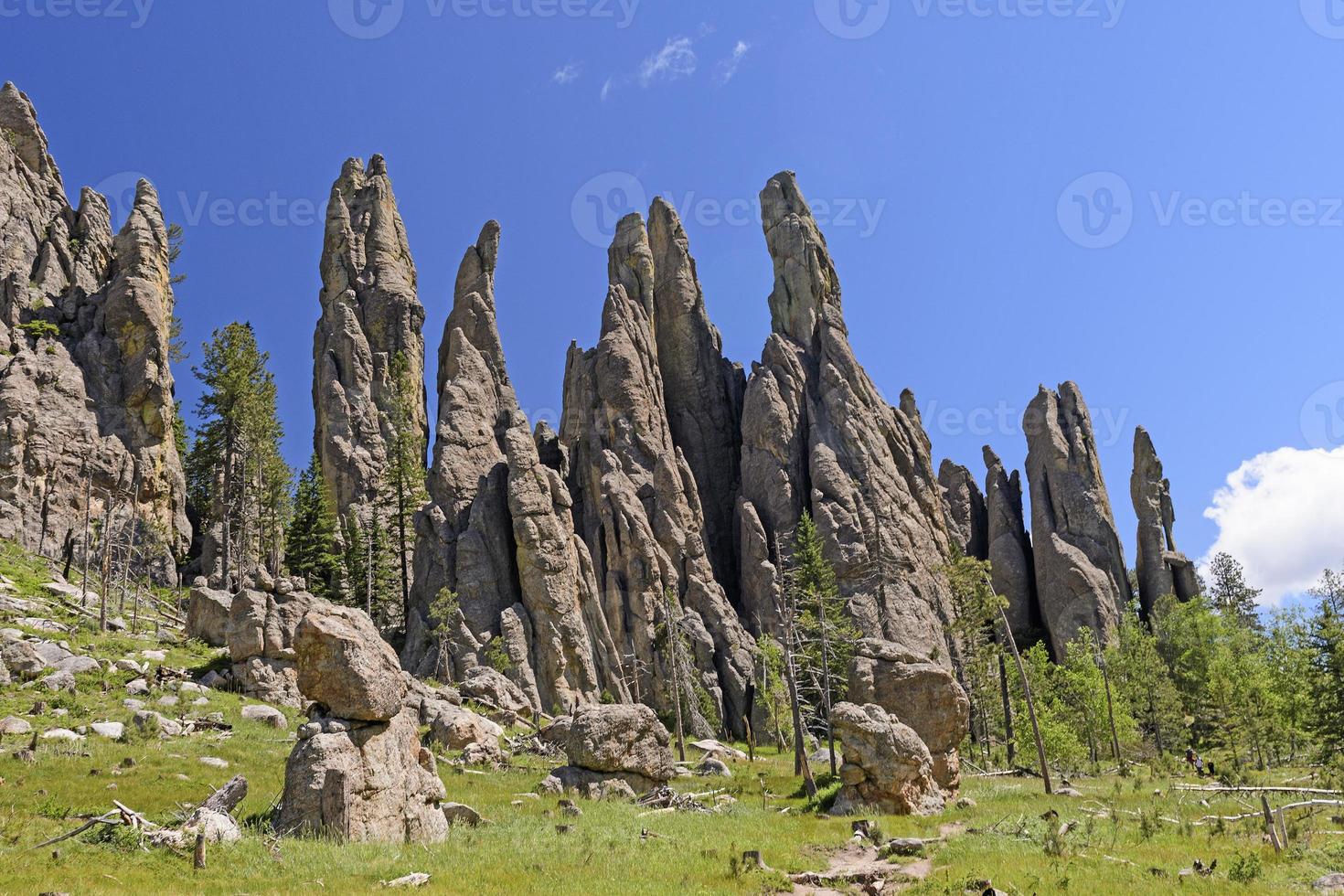 flèches spectaculaires dans une prairie de montagne photo