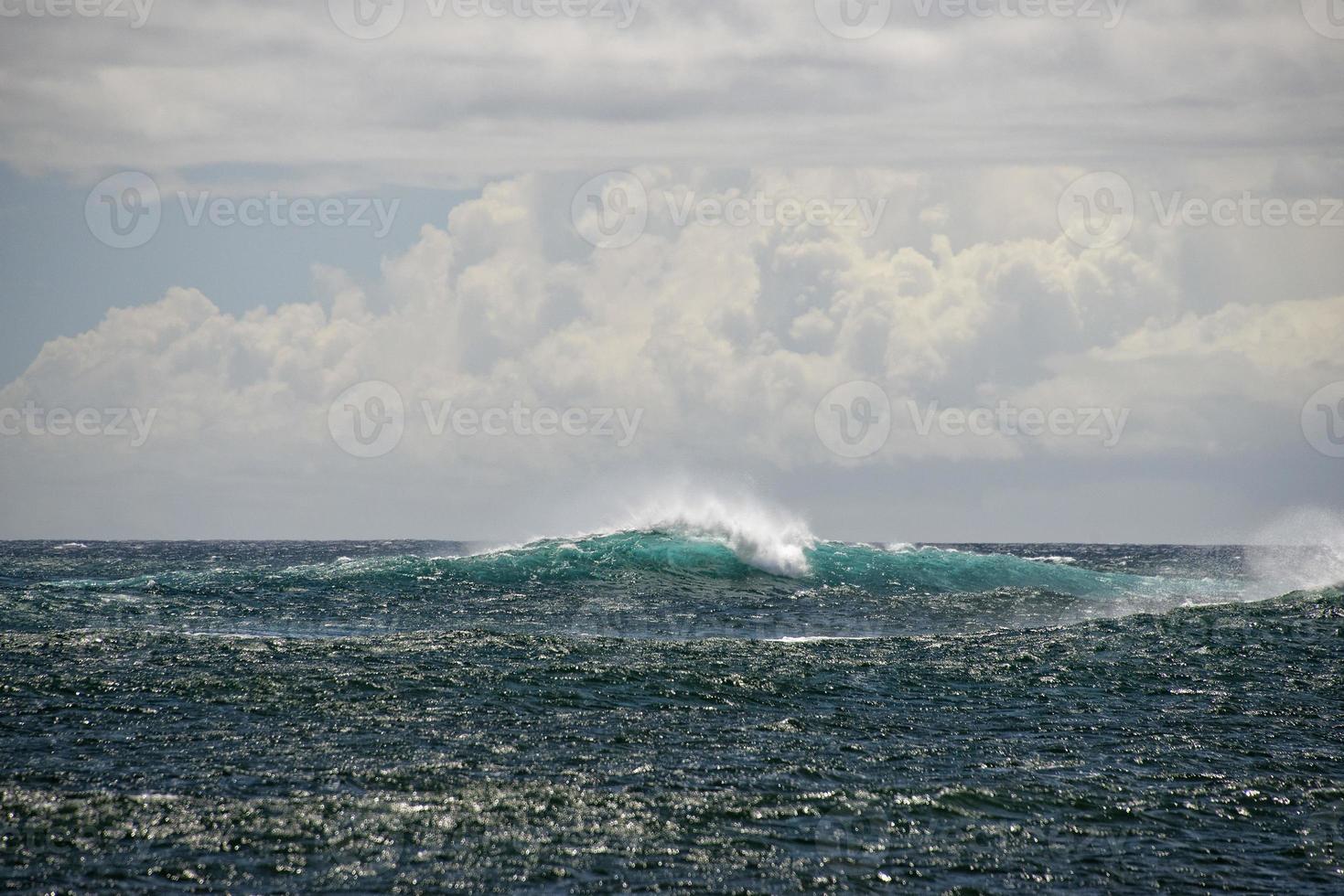 vagues de l'océan pacifique sur le rivage photo