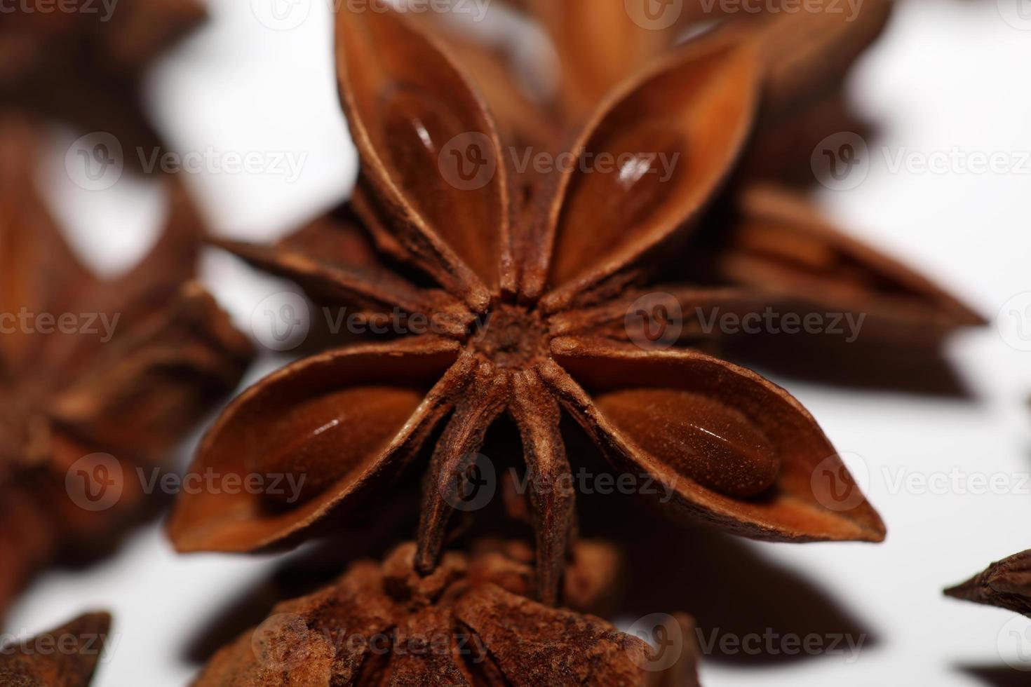 Fruit brun gros plan arrière-plan botanique illicium verum famille schisandraceae anis étoilé avec graines impression grande taille de haute qualité photo