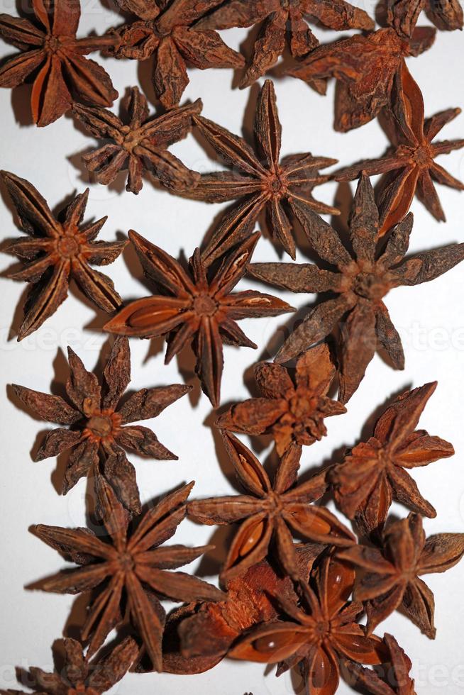 Fruit brun gros plan arrière-plan botanique illicium verum famille schisandraceae anis étoilé avec graines impression grande taille de haute qualité photo
