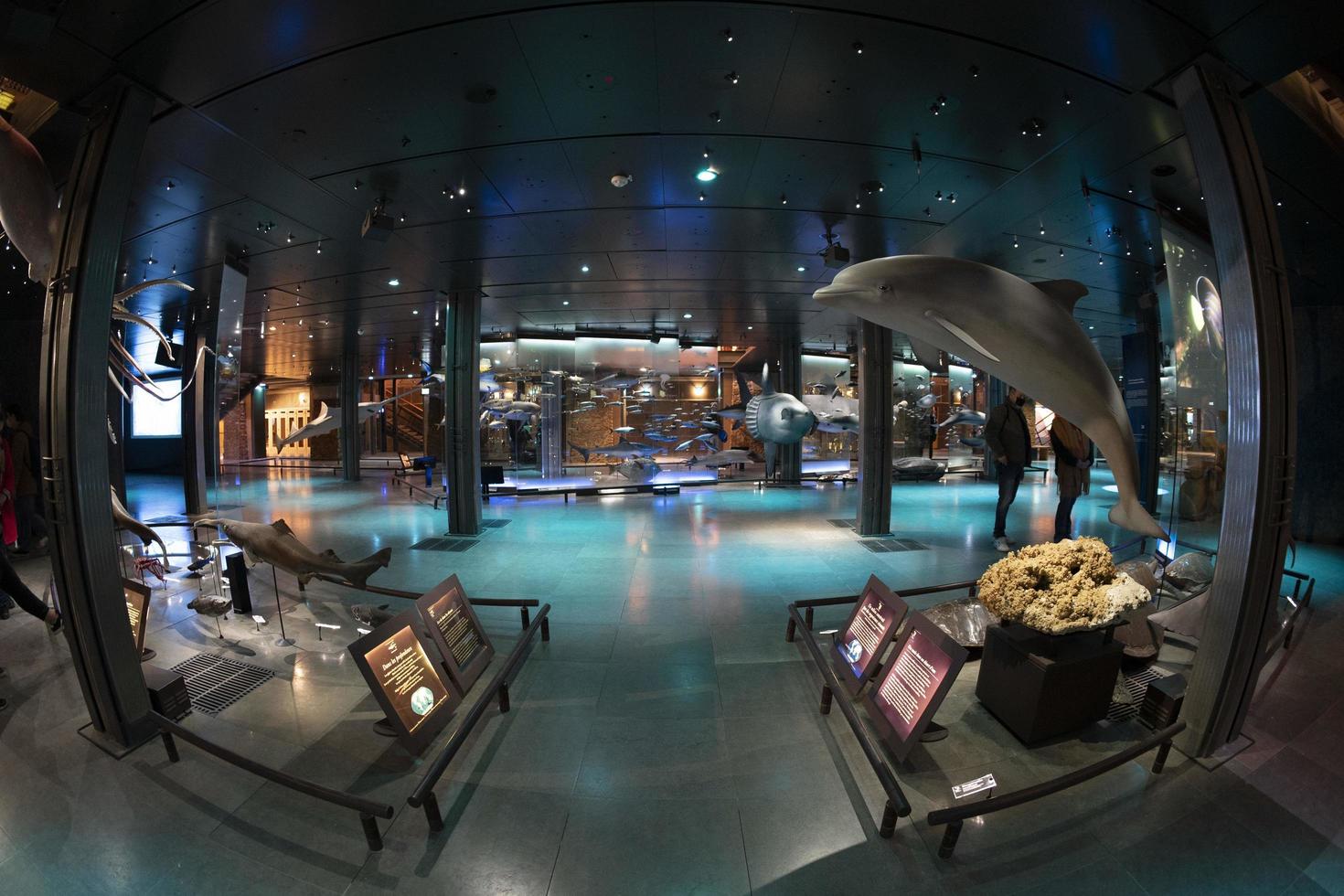 paris, france - 18 novembre 2021 - galerie évolution musée d'histoire naturelle photo