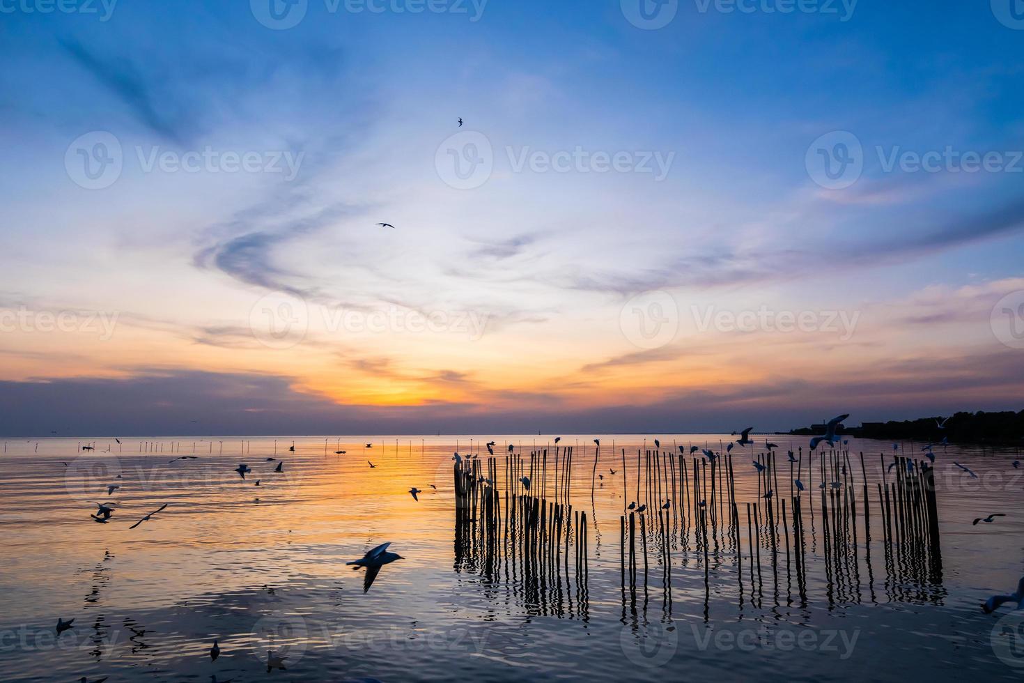 paysage de la côte de la mer au crépuscule. coucher de soleil du soir. photo