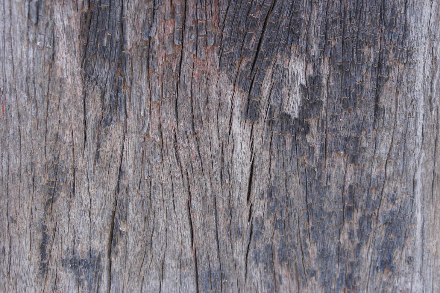 vieux fond en bois avec des fissures naturelles photo