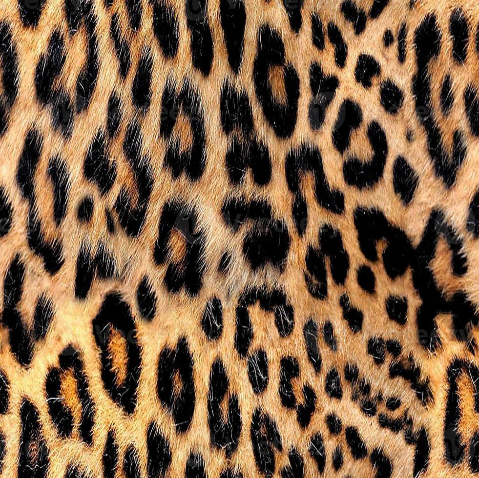 motif léopard sans couture, peau de léopard, imprimé animal. photo