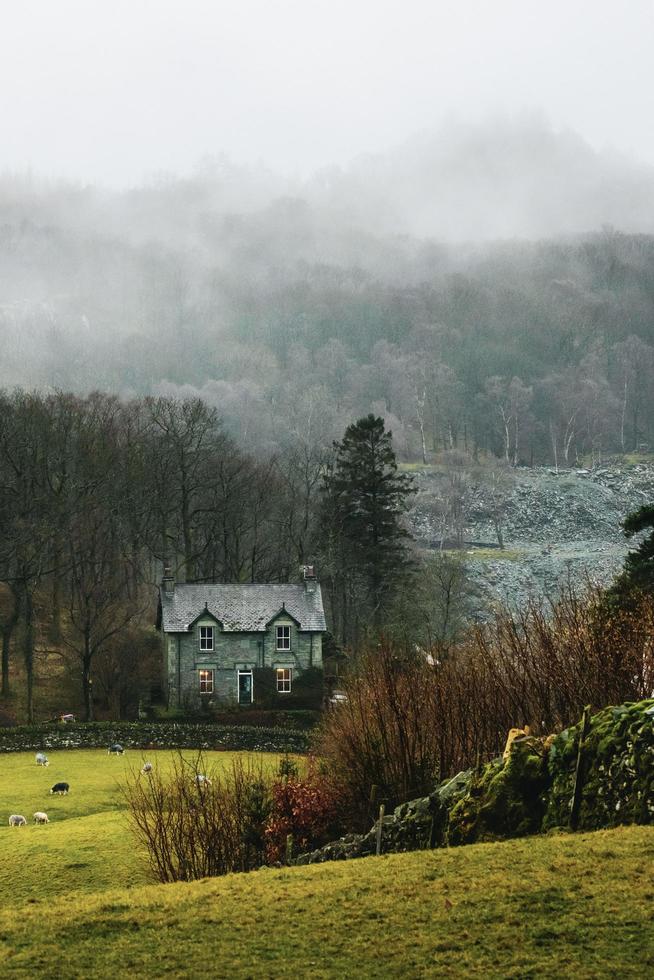 Lake District, Royaume-Uni, 2020 - maison dans la forêt entourée de brouillard photo