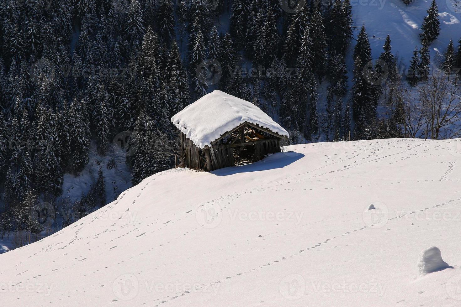 paysage d'hiver dans les alpes autrichiennes photo