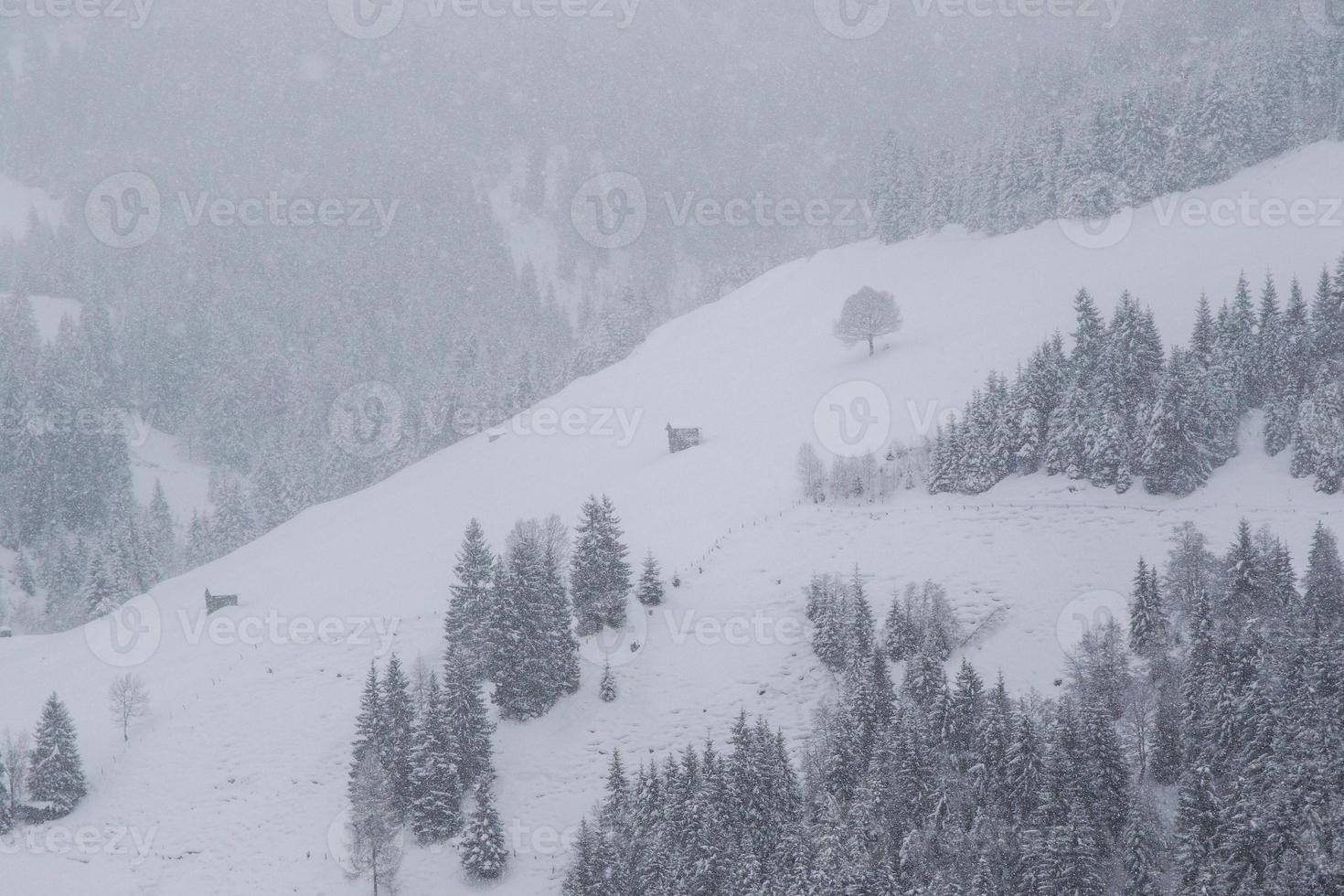 paysage d'hiver dans les alpes autrichiennes photo