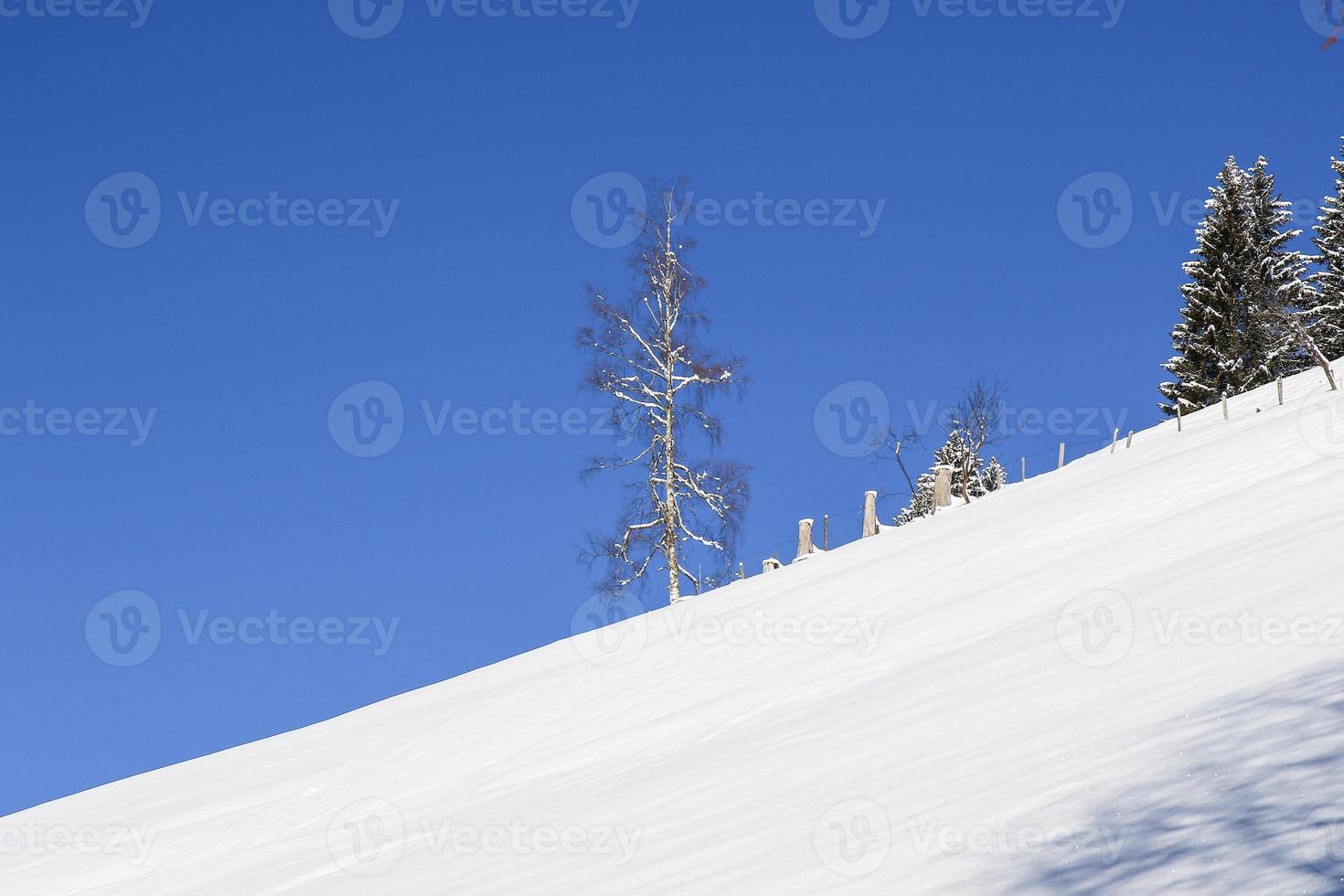 paysage d'hiver dans les alpes autrichiennes photo