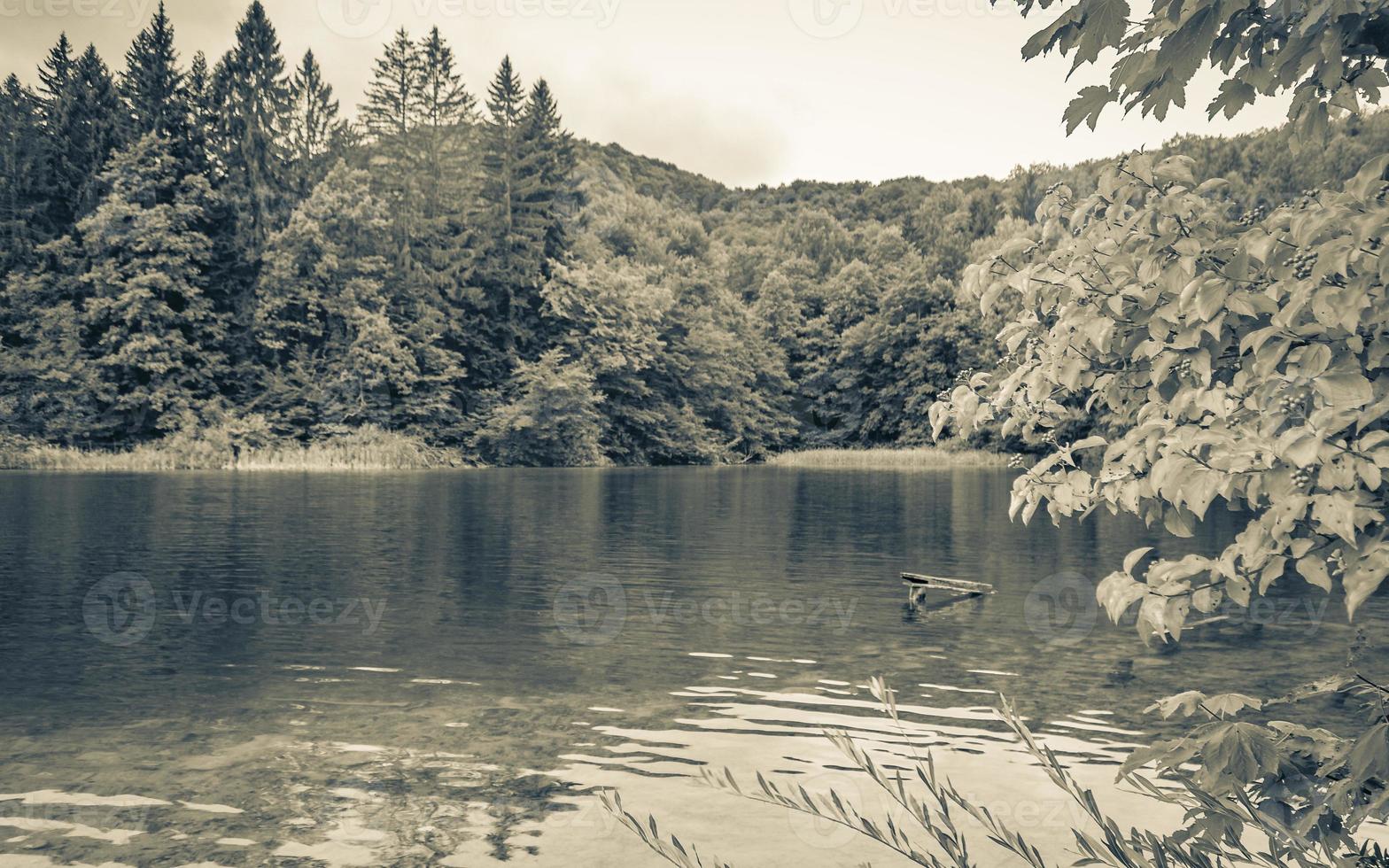 parc national des lacs de plitvice paysage coloré eau turquoise en croatie. photo