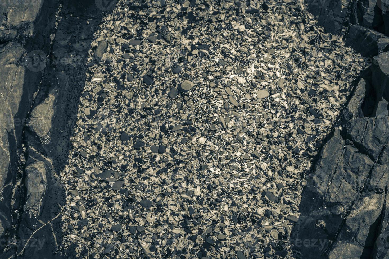 texture de coquillages, pierres de sable de plage. point de mer le cap. photo