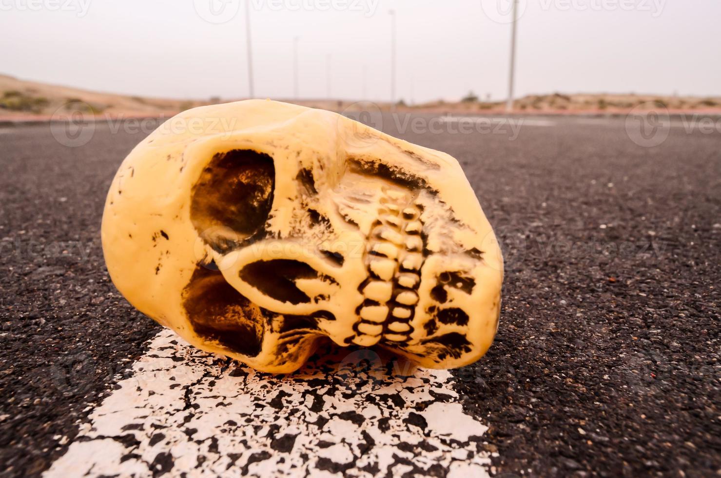 crâne sur la route photo