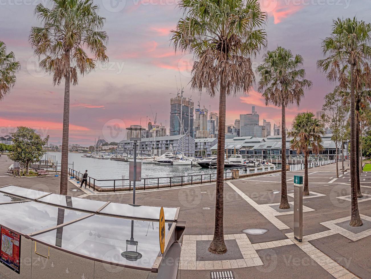 Vue sur Darling Harbour à Sydney pendant le coucher du soleil photo