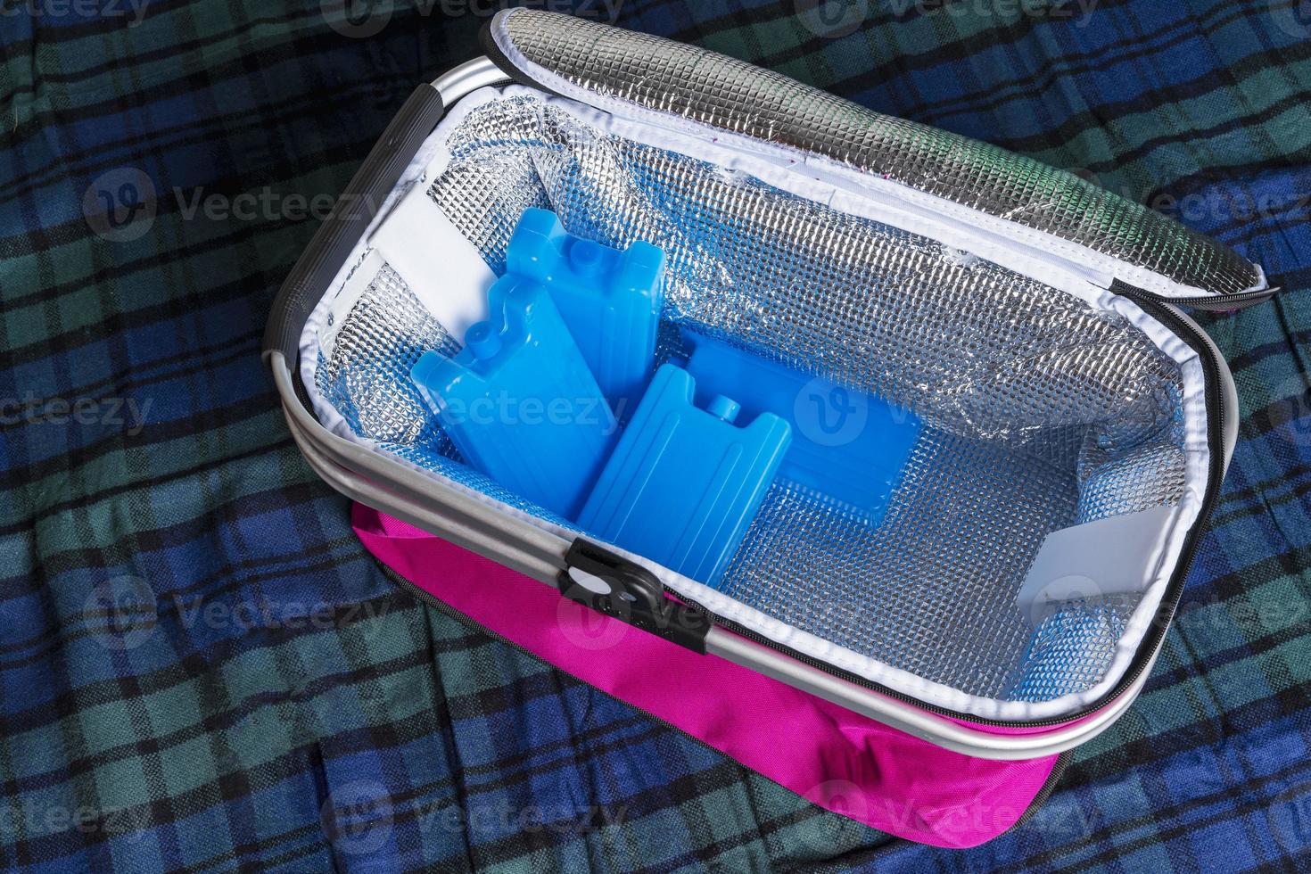 sac de réfrigérateur portable avec batteries de stockage à froid, sac  thermos, réservoirs de réfrigérant, plaques à glace pour un sac de  réfrigérateur 18903074 Photo de stock chez Vecteezy