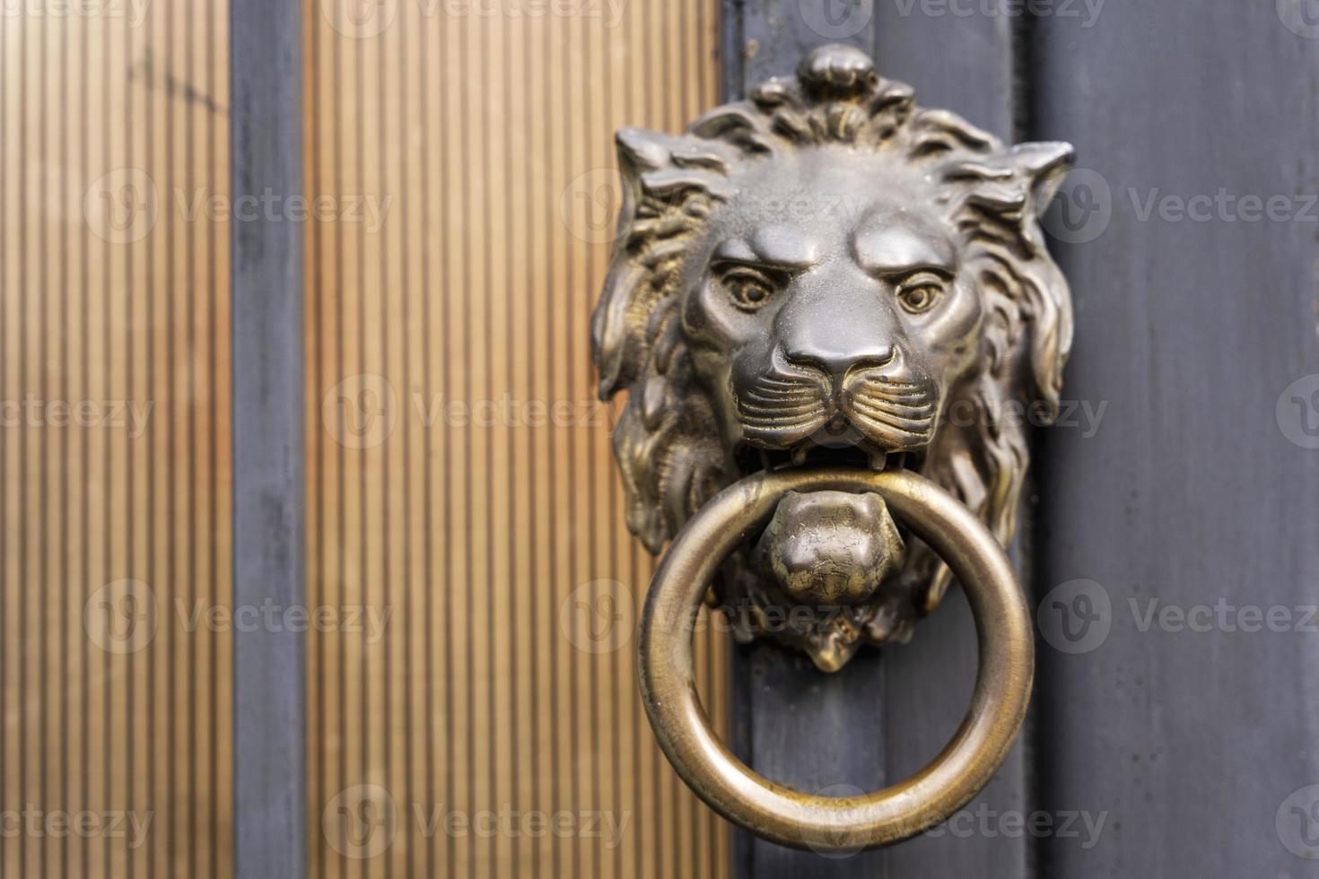 poignée de porte en forme de tête de lion avec un anneau dans sa bouche sur une porte métallique photo