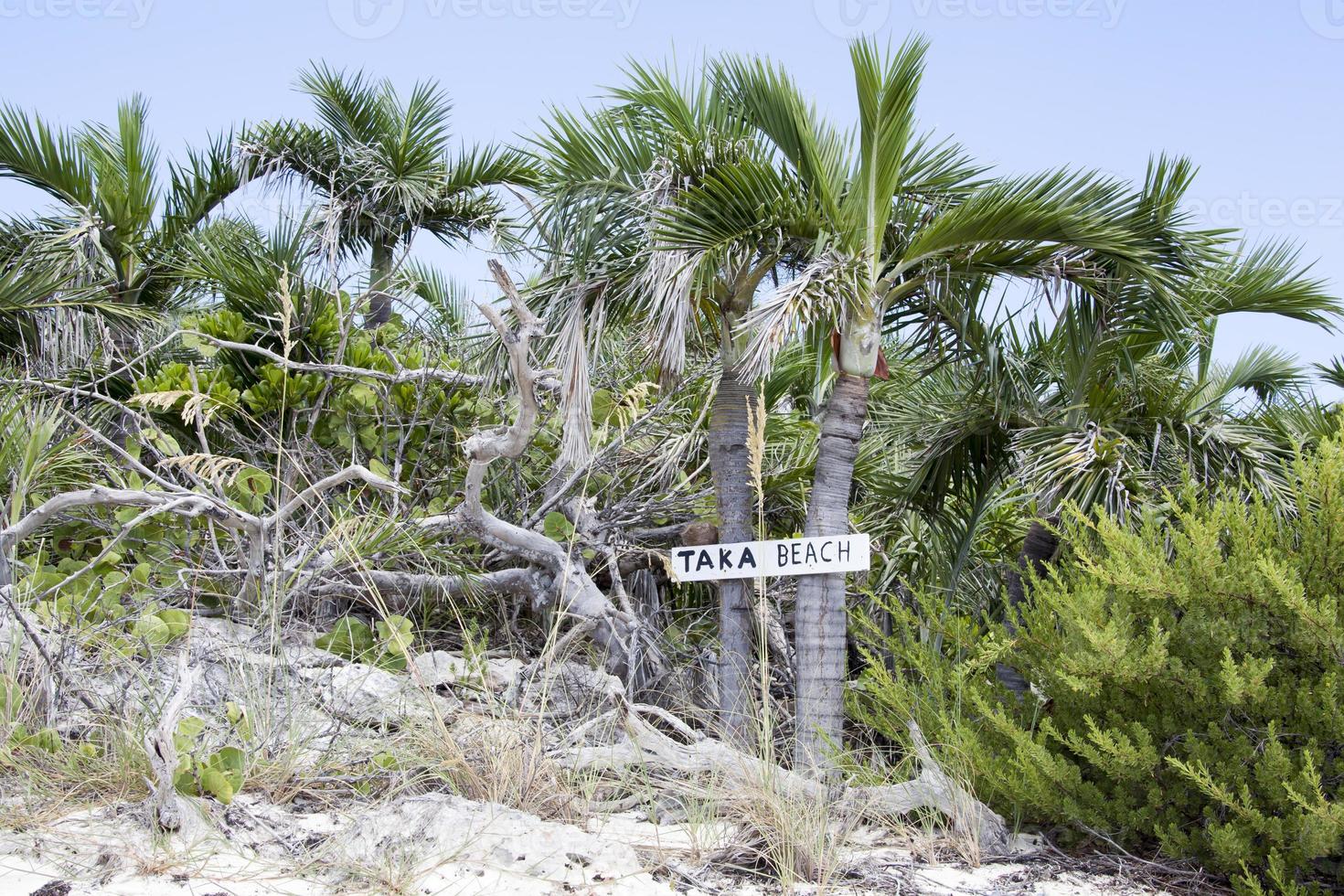 plage de taka de l'île de demi-lune cay photo