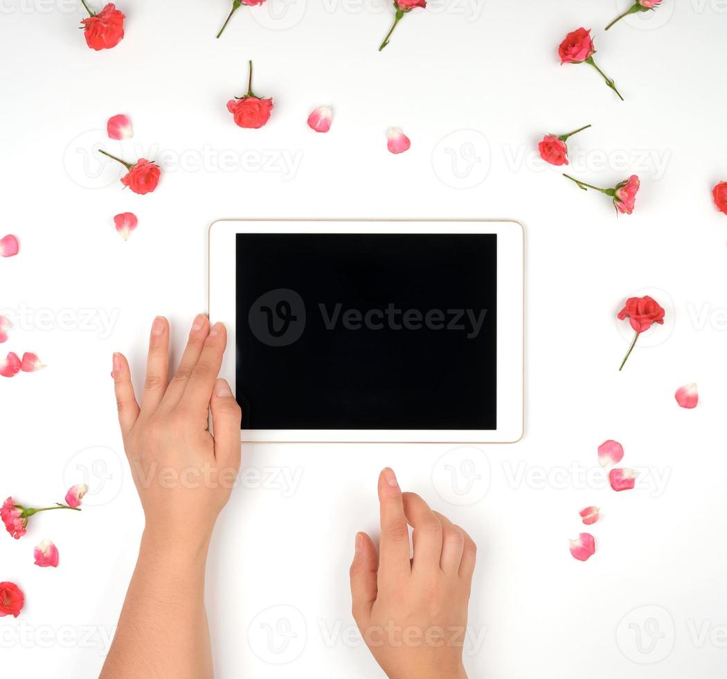 Deux mains féminines tenant l'appareil sur fond blanc avec des bourgeons de roses roses photo