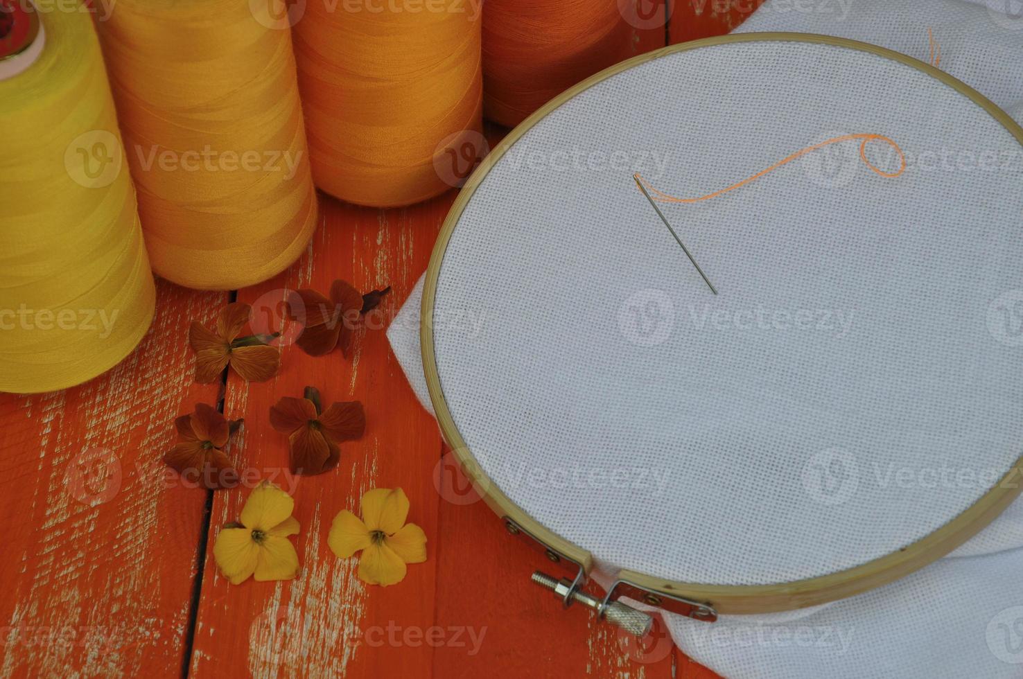 le tissu préparé dans le cerceau pour la broderie photo