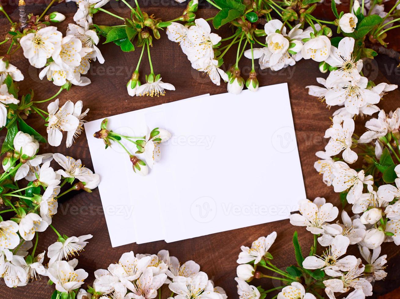 feuilles de papier vierges parmi les branches de cerisiers en fleurs photo
