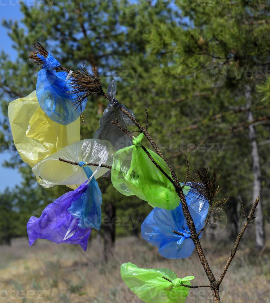 de nombreux sacs en plastique multicolores suspendus à une branche de pin photo