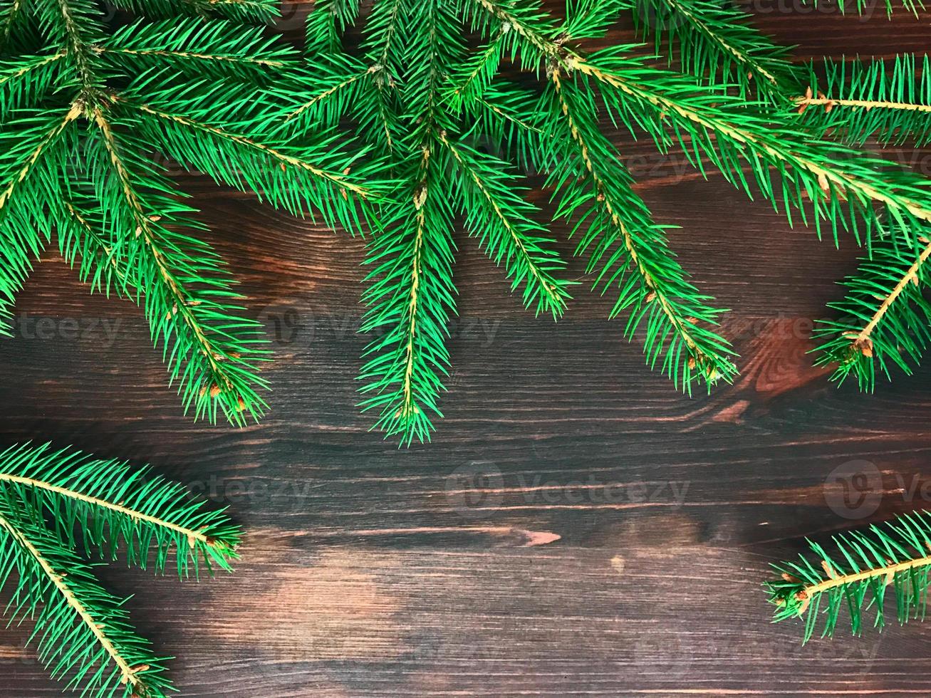 brindilles d'arbre de noël d'épinette sur un fond de bois brun photo