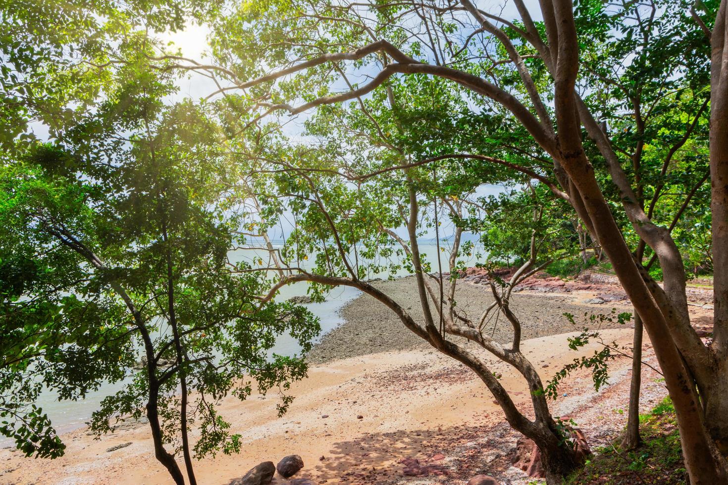 bord de mer en Thaïlande photo