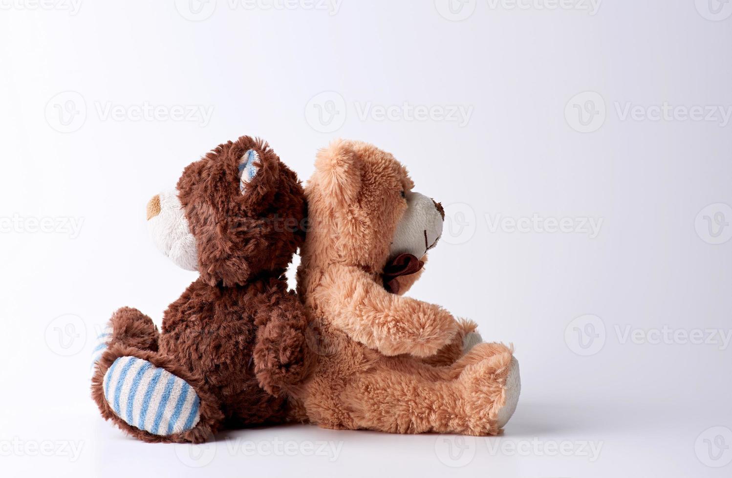 Deux sorcières brunes en peluche sont assises sur un fond blanc dos à dos photo