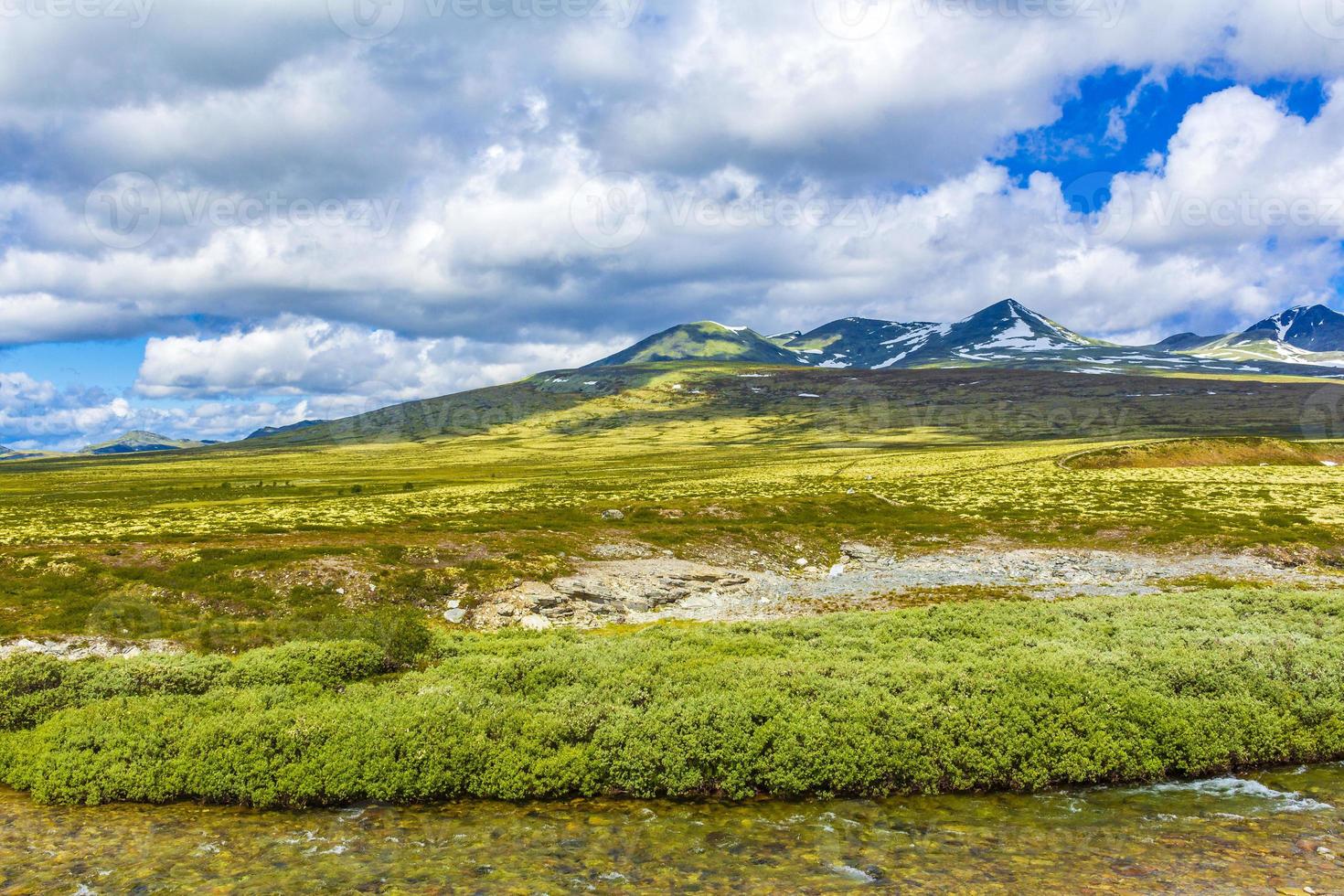 belle montagne et paysage nature panorama parc national de rondane norvège. photo