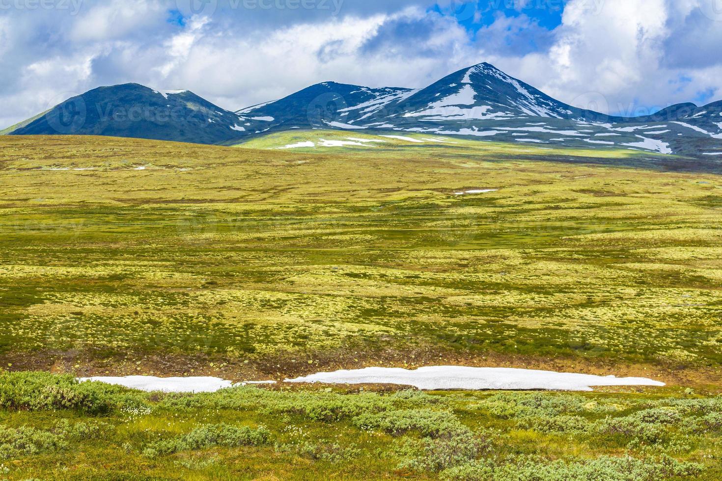 belle montagne et paysage nature panorama parc national de rondane norvège. photo