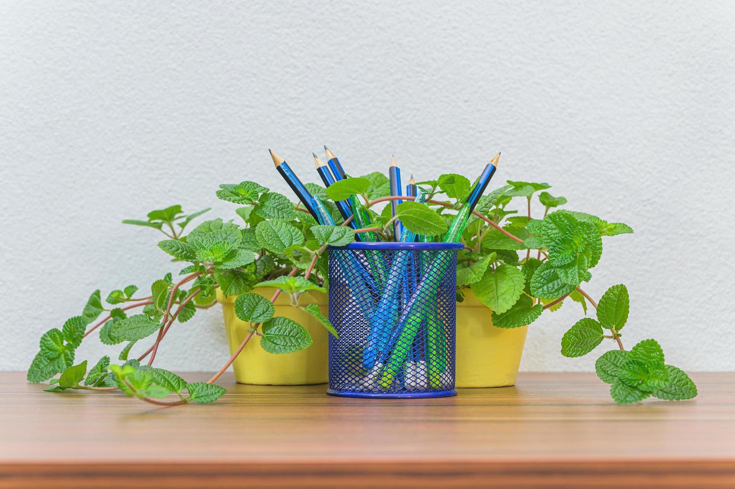 crayons, stylos et fleur sur le bureau photo