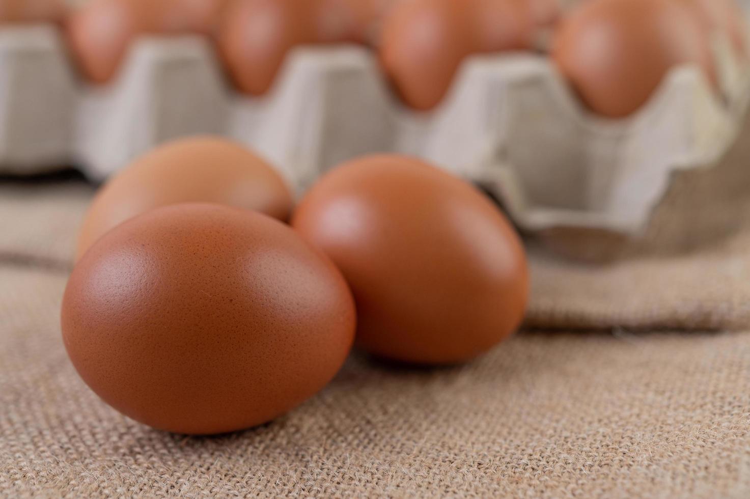 œufs de poule crus biologiques photo