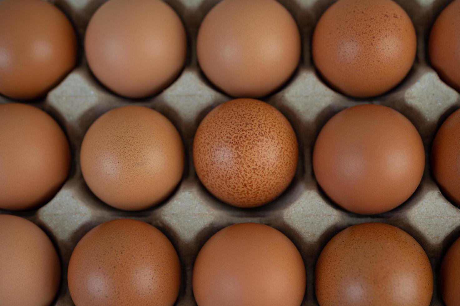 œufs de poule placés sur un plateau à œufs photo