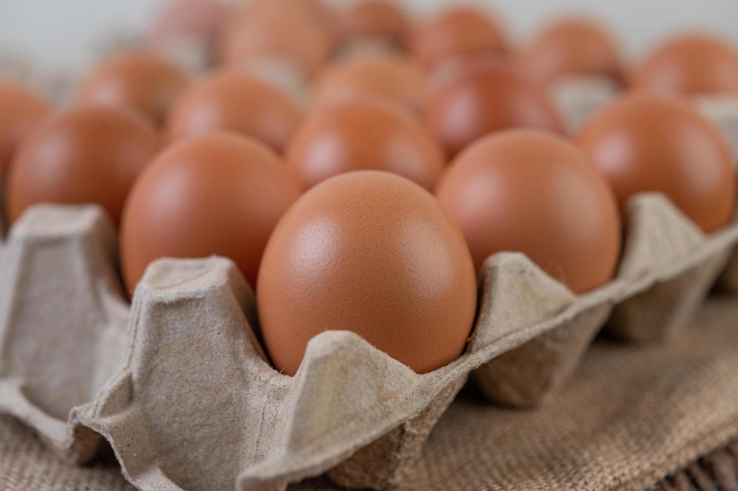 œufs de poule crus biologiques photo