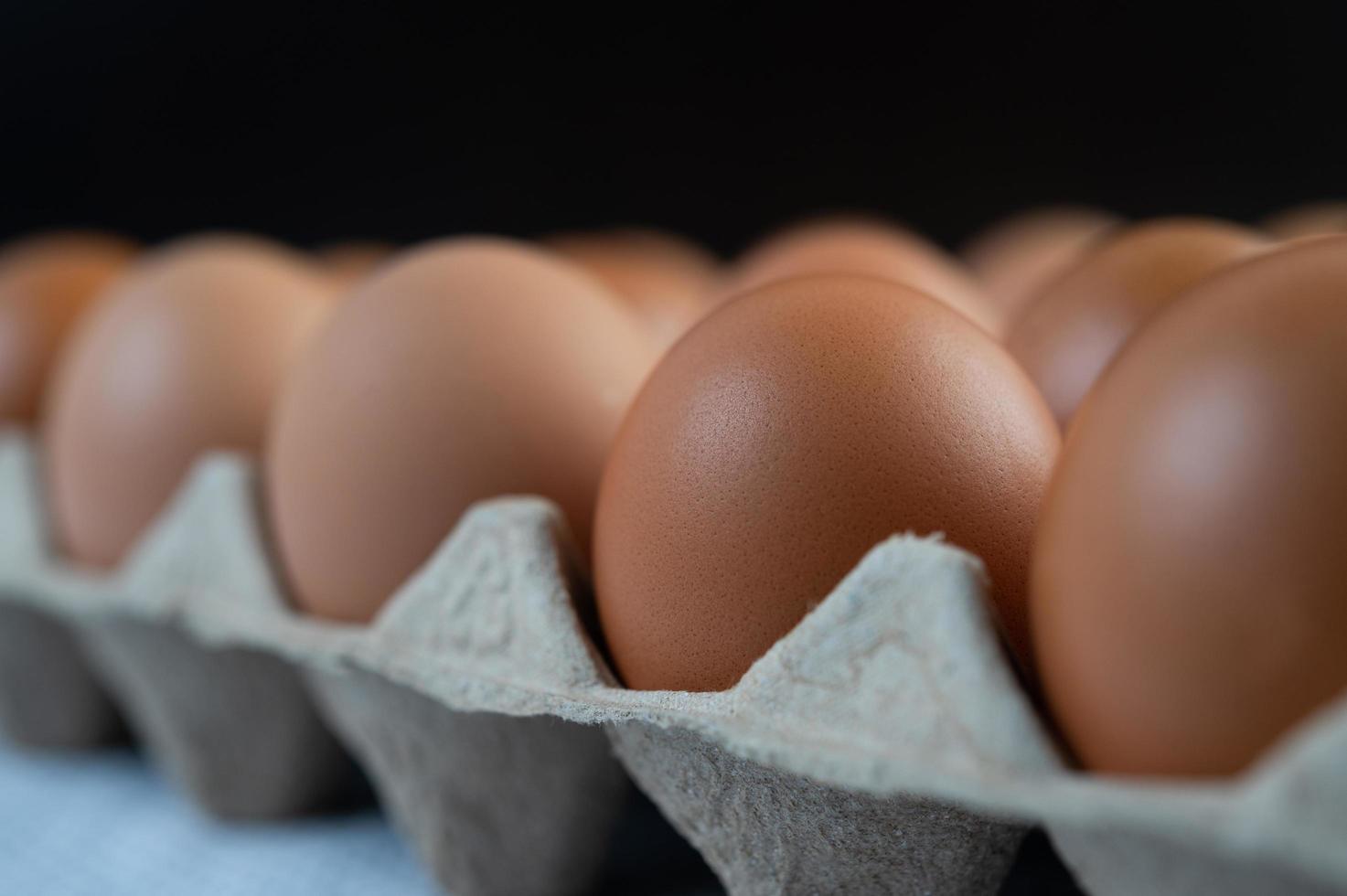 œufs de poule placés sur un plateau à œufs photo