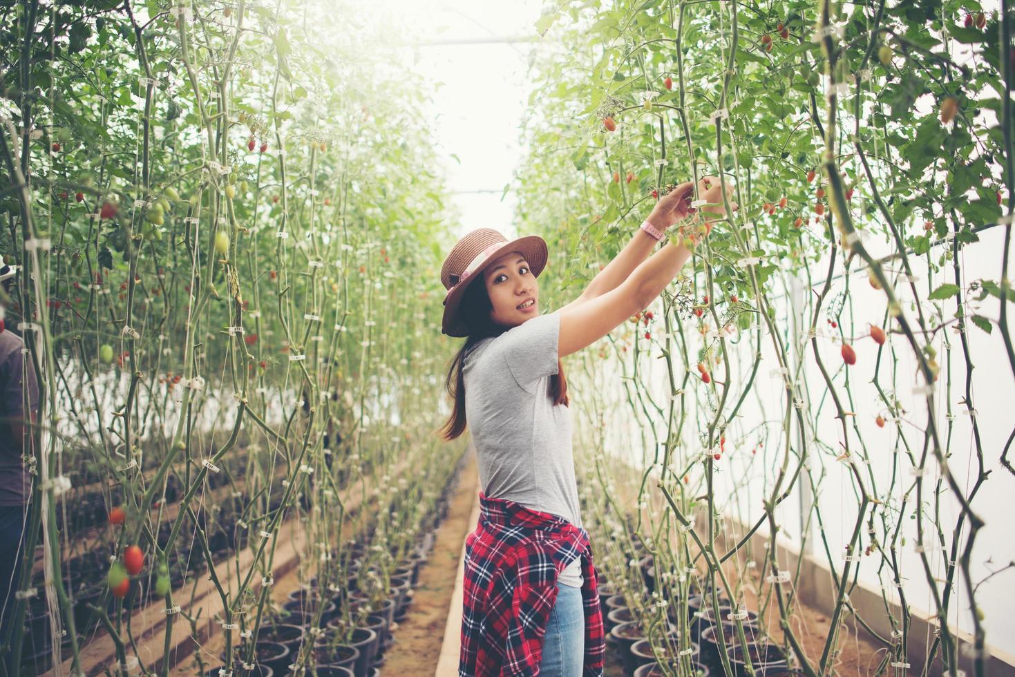 Jeune femme dans une serre avec récolte de tomates biologiques photo