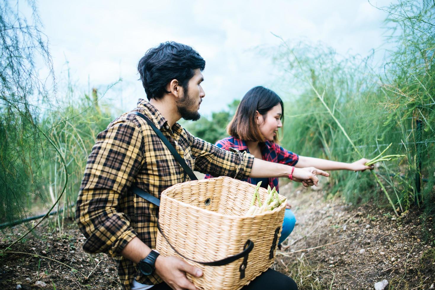 Couple de jeunes agriculteurs récoltant des asperges fraîches photo