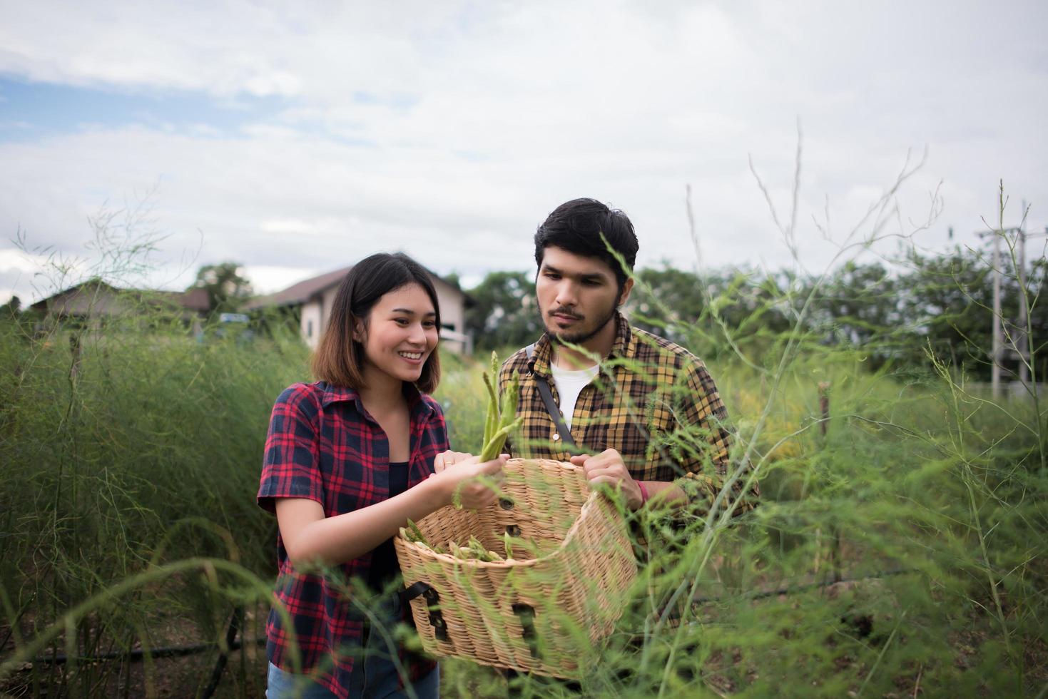 Couple de jeunes agriculteurs récoltant des asperges fraîches photo