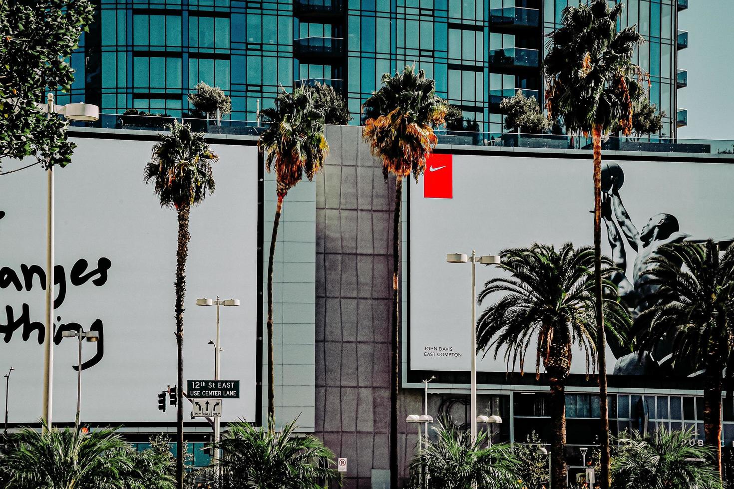 Los Angeles, CA, 2020 - Palmier vert près d'un bâtiment en béton blanc pendant la journée photo