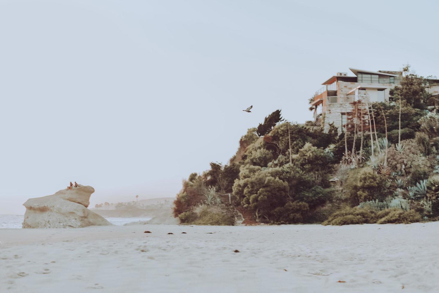 Newport Beach, 2020 - maison blanche et brune près d'un plan d'eau pendant la journée photo