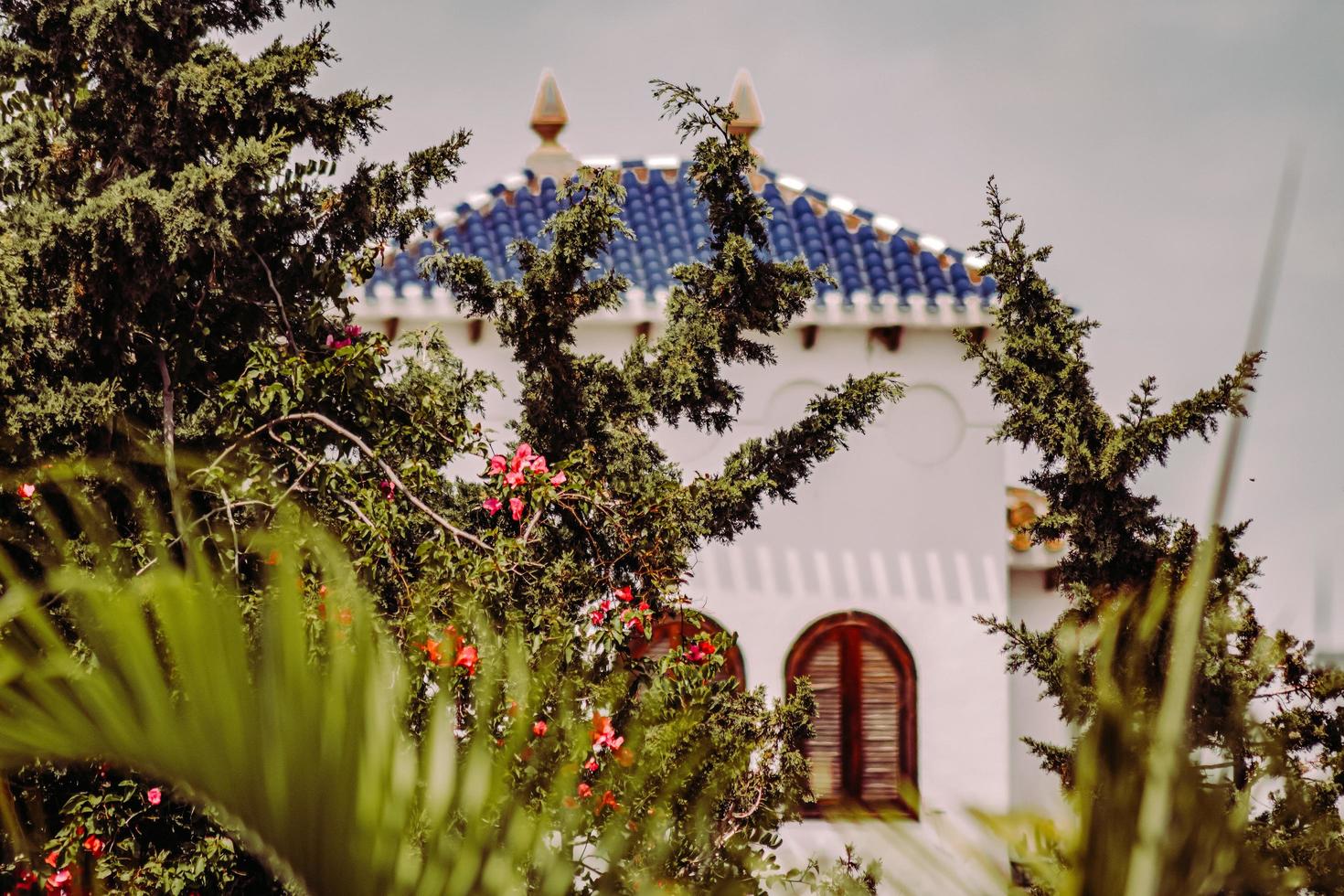 Orihuela, Espagne, 2020 - fleurs rouges près d'un bâtiment en béton blanc photo