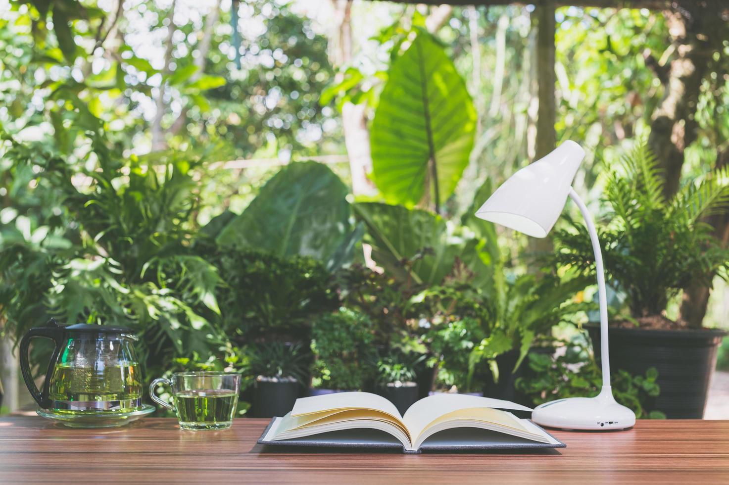 bureau avec fond de nature photo