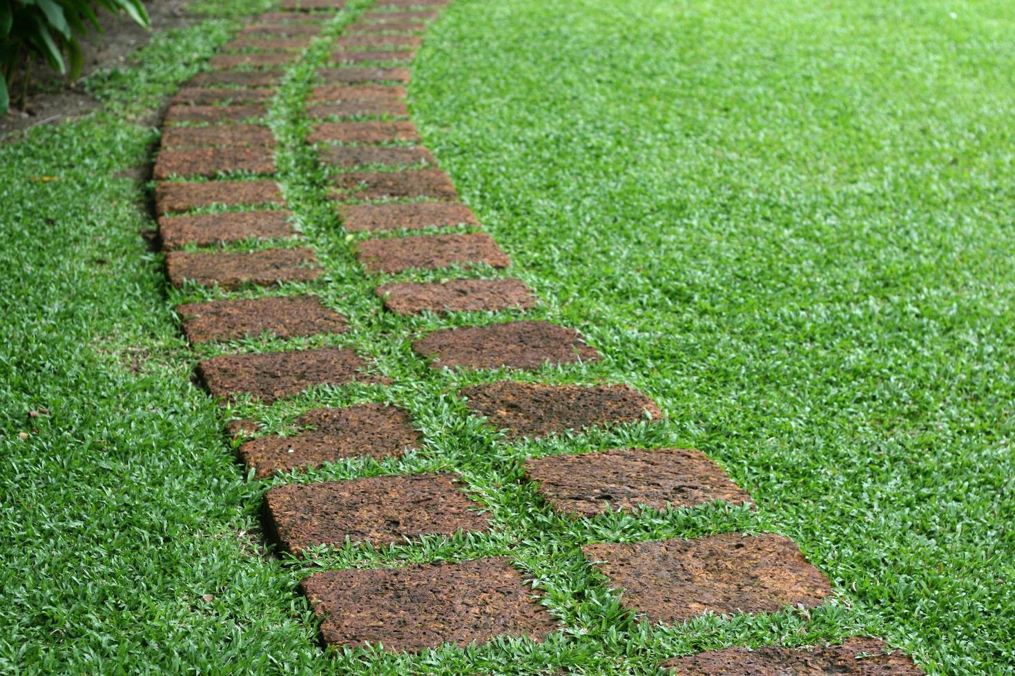 Chemin formé de dalles de pierre dans un jardin photo