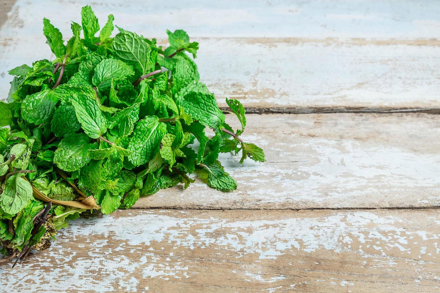 menthe sur table photo