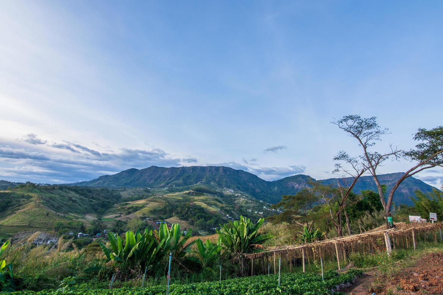 khao kho montagne nature photo